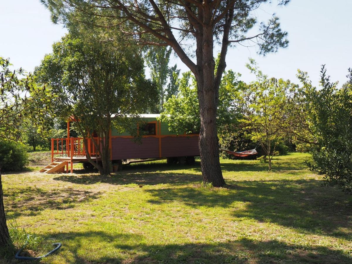 Les Gites Du Domaine De Rhodes Avignon Phòng bức ảnh