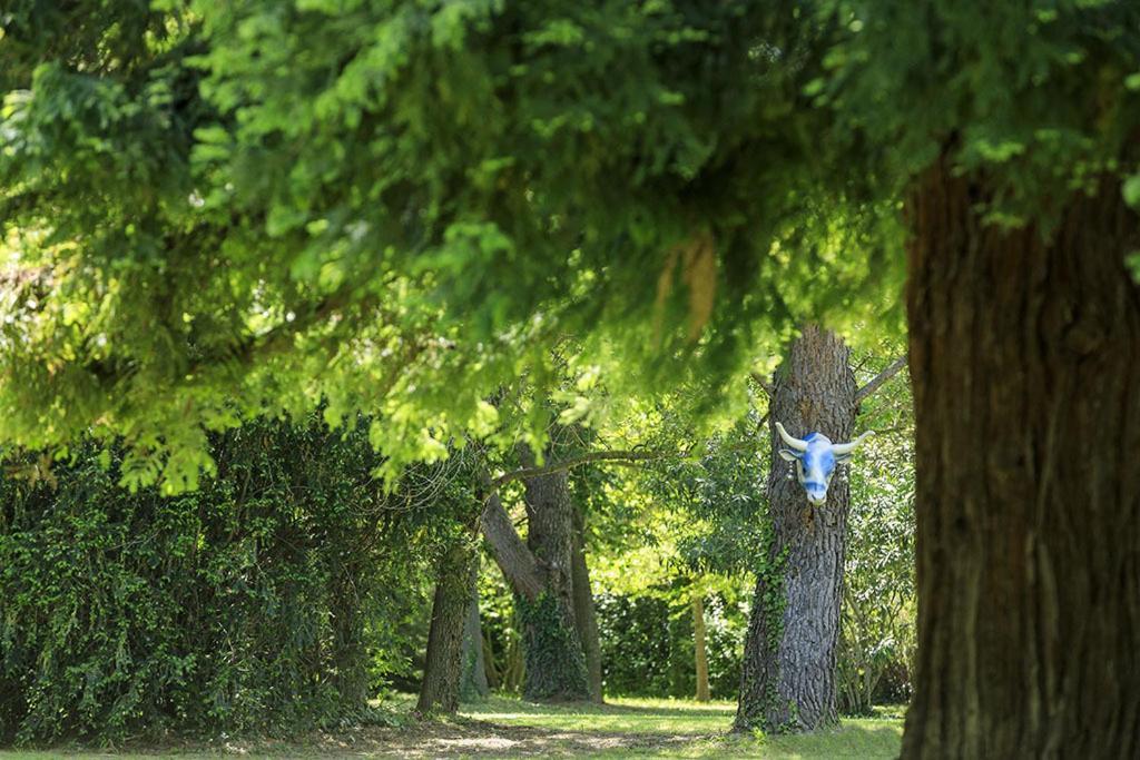 Les Gites Du Domaine De Rhodes Avignon Ngoại thất bức ảnh