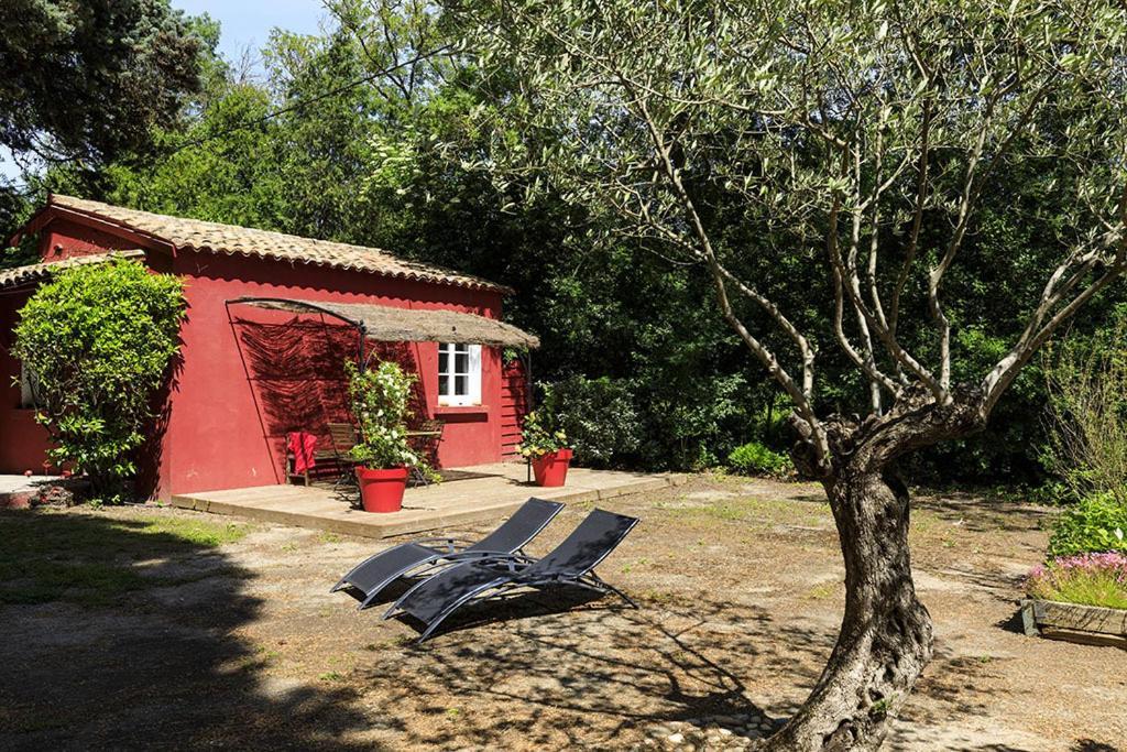 Les Gites Du Domaine De Rhodes Avignon Ngoại thất bức ảnh