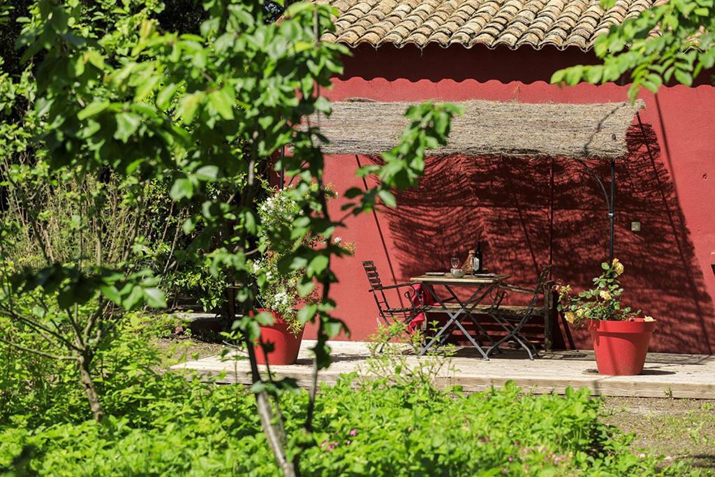 Les Gites Du Domaine De Rhodes Avignon Phòng bức ảnh